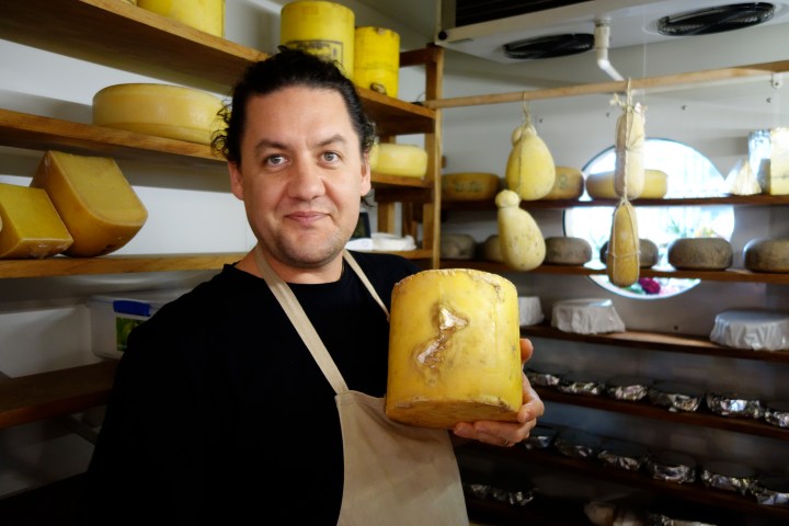Curd Nerd in the cheeseroom with a cheese from the Christchurch earthquake.